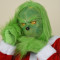 The Grinch Adult Costume